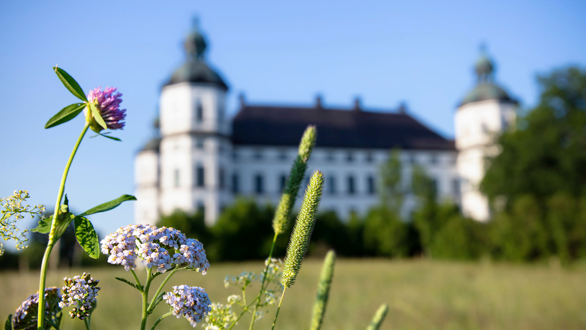 Exteriör Skoklosters slott med blommor.