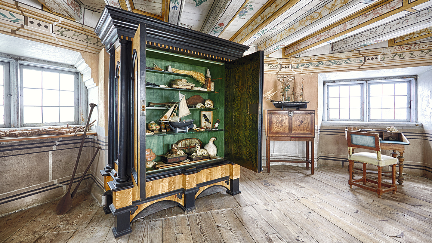 A Cabinet of Curiosities with stuffed birds.