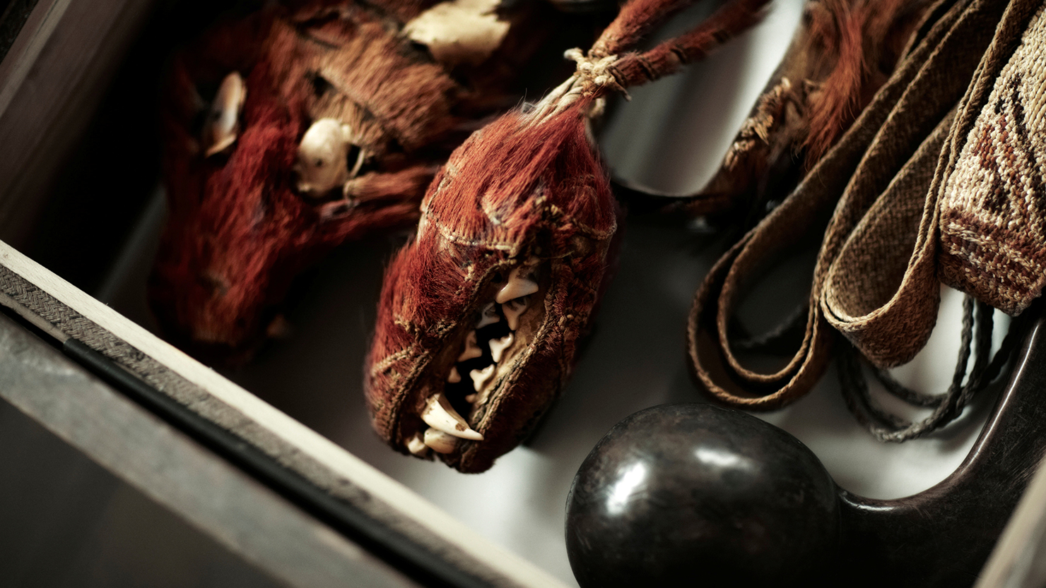 Some qurious objects in a wooden coffin.