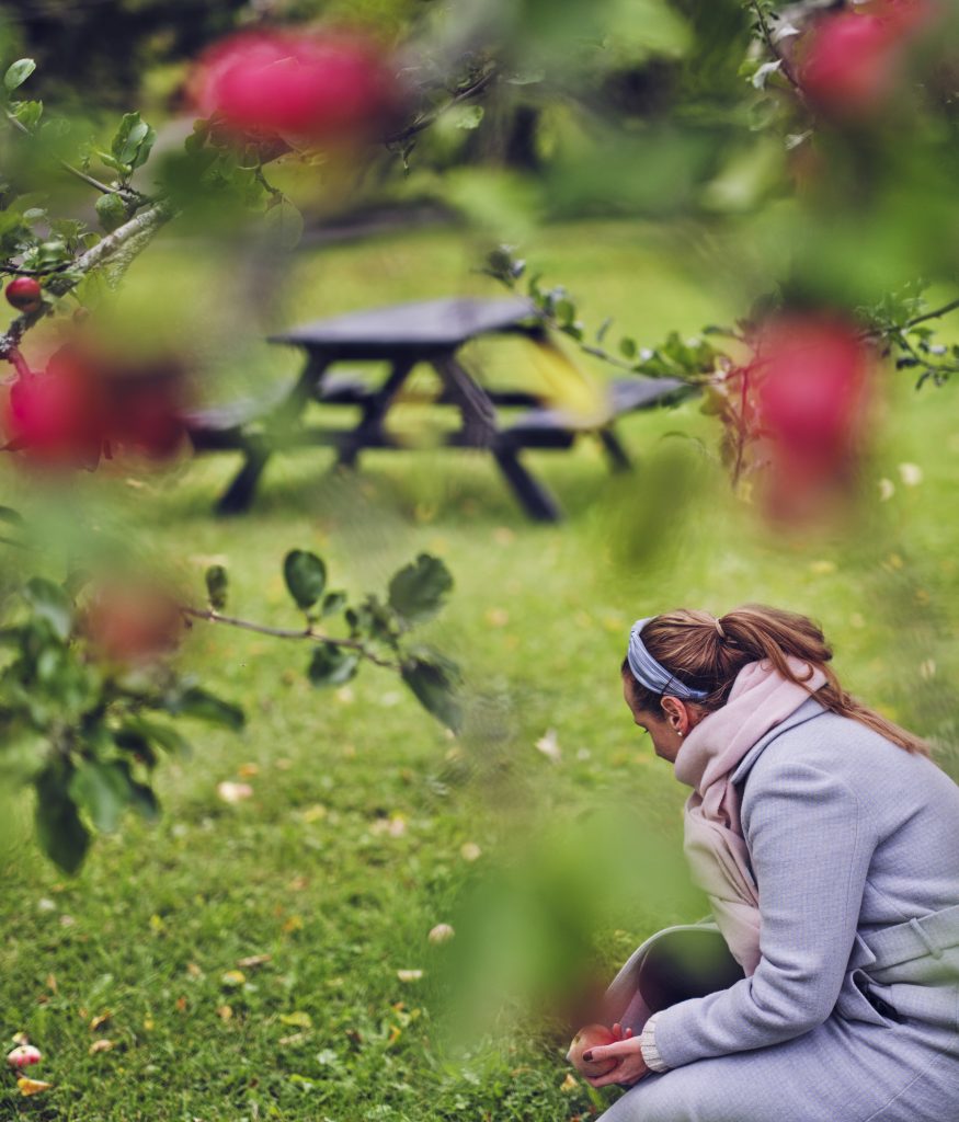 Person pics apples.