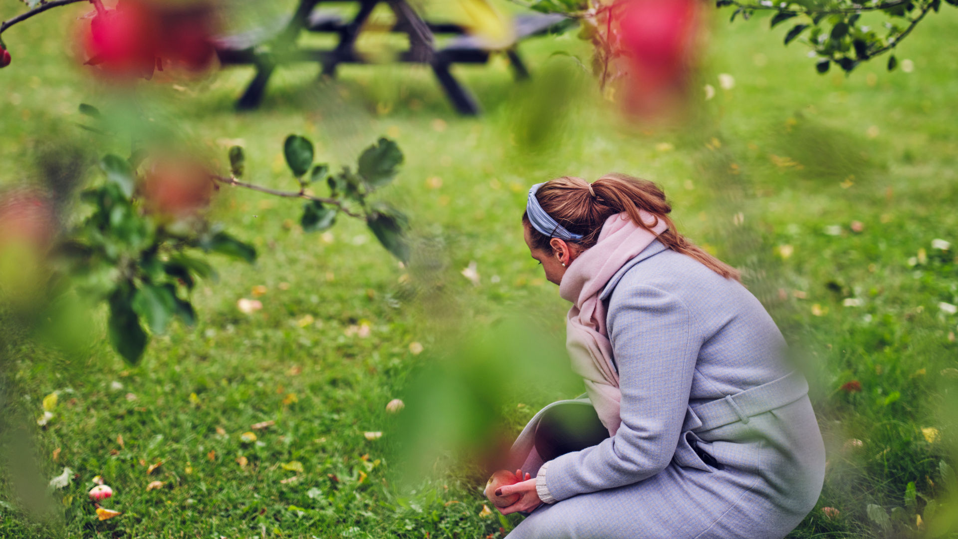 Person picking apples in the castle garden.