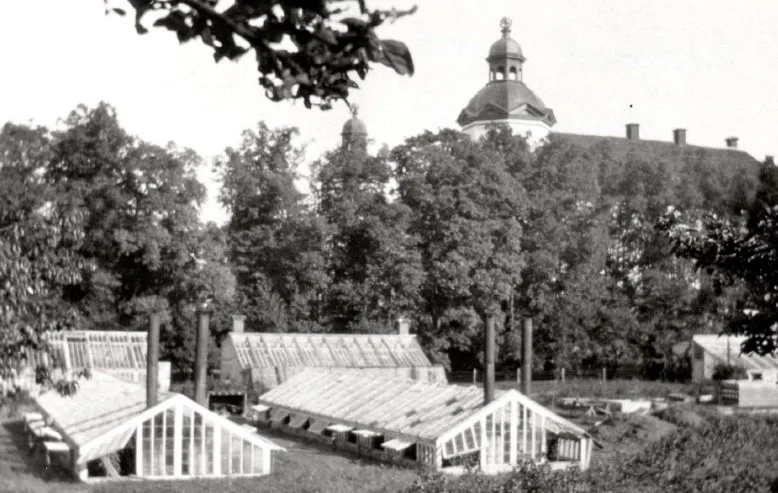 Skoklosters-slott-växthus