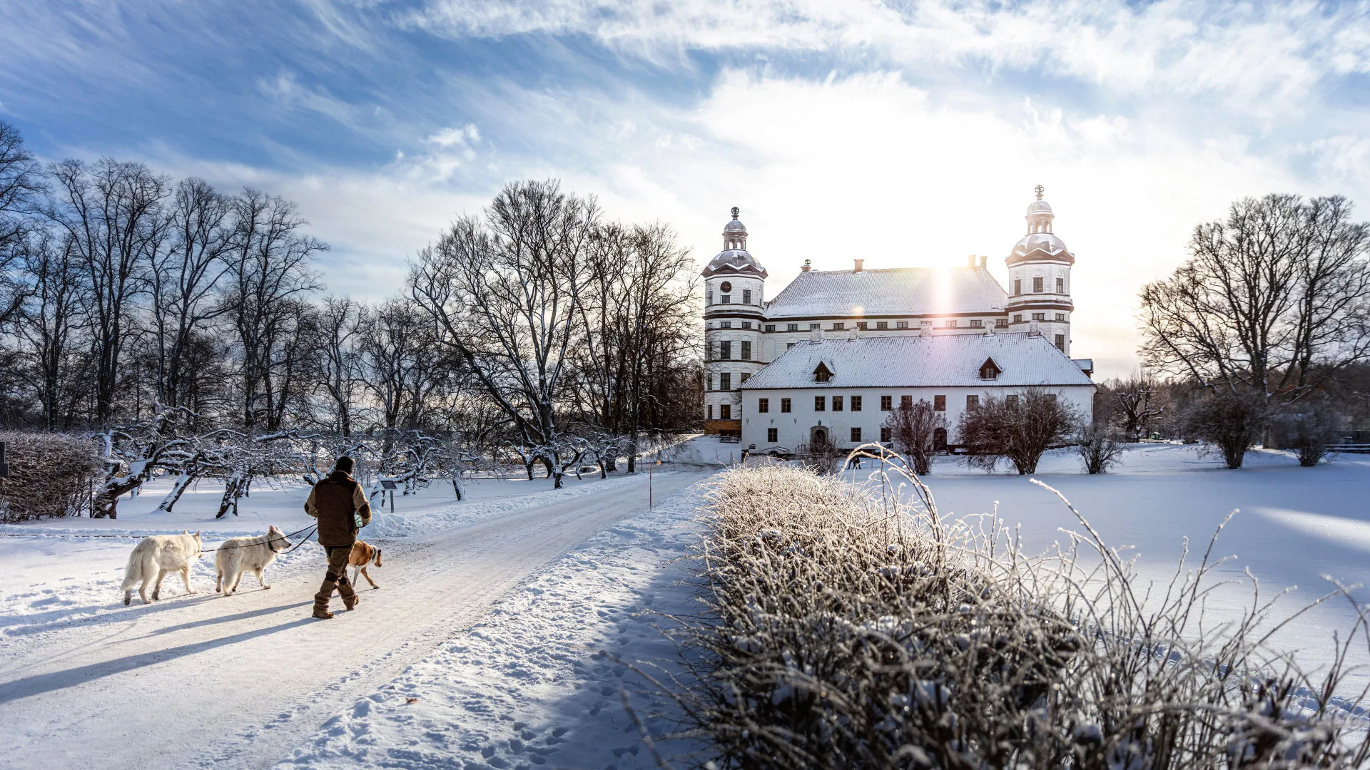 slottet i vinterskrud