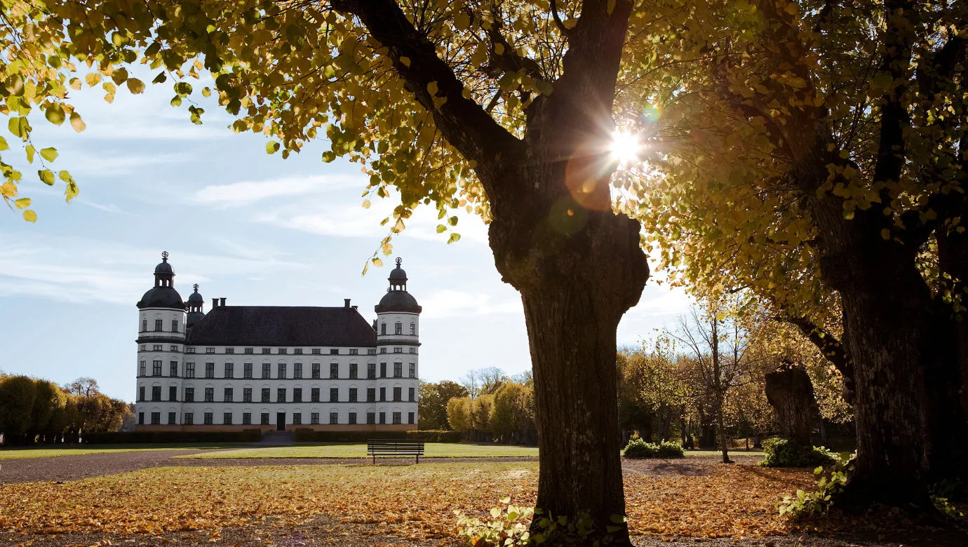 Castle surrounded by fall foliage