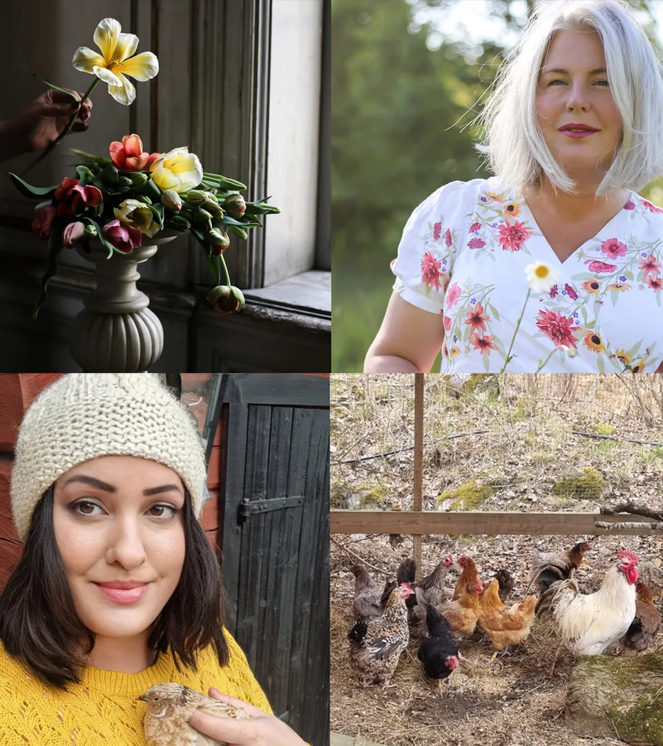 Collage showing vase of flowers, hens, Hanna Wendelbo and Julia Persson.